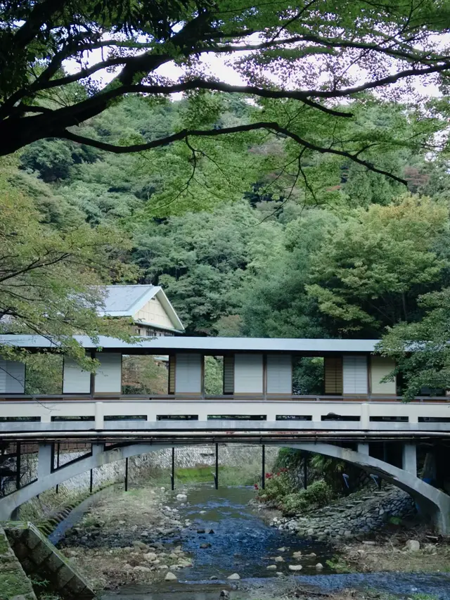 有马川溪流与廊桥,背后是青绿山林的温泉乡景色