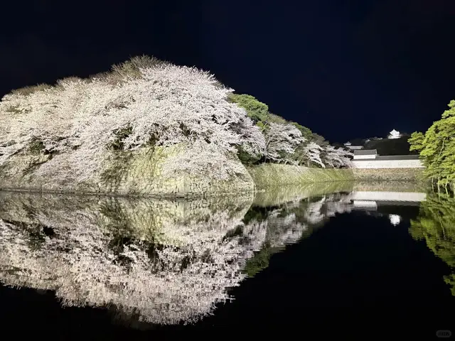 夜樱石垣倒映在护城河,远处可见天守