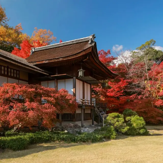 红叶环绕的山庄主屋,蓝天草坪