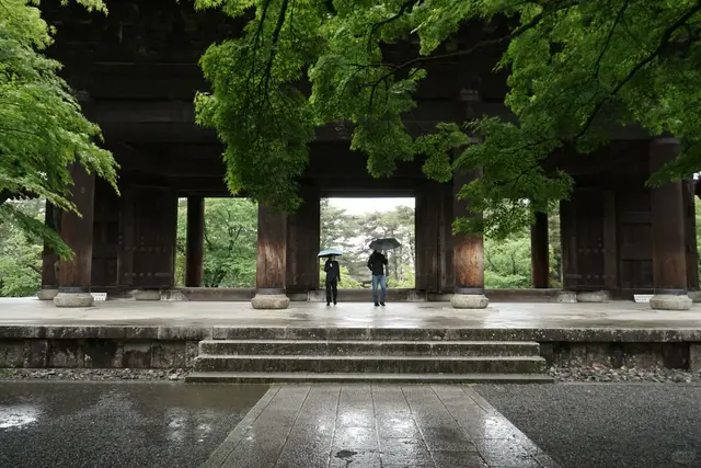 南禅寺三门巨大木柱与雨中新绿枫叶
