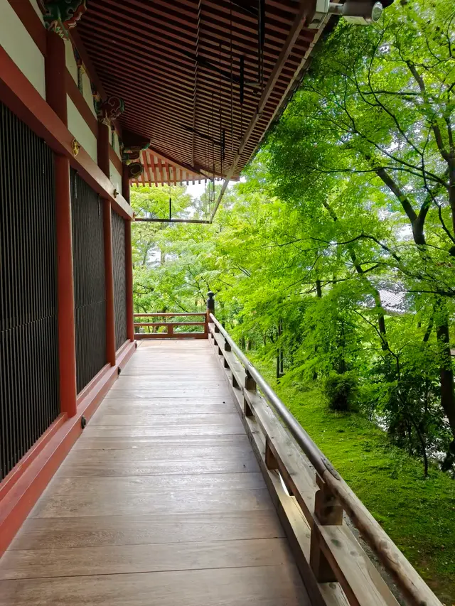 永观堂朱红回廊外的一片青枫