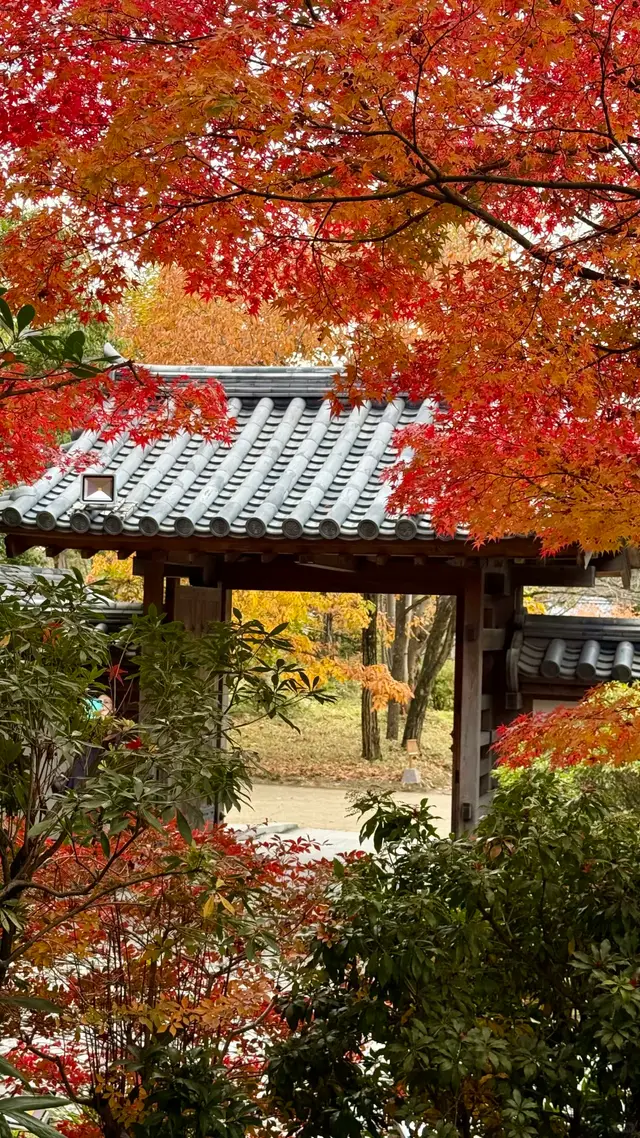 红叶掩映的园门