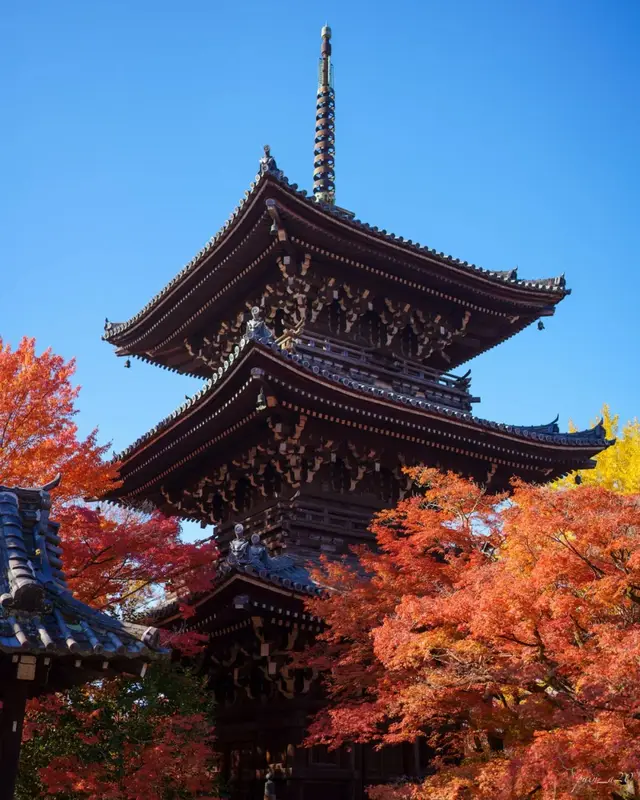 三重塔配火红枫叶与蓝天