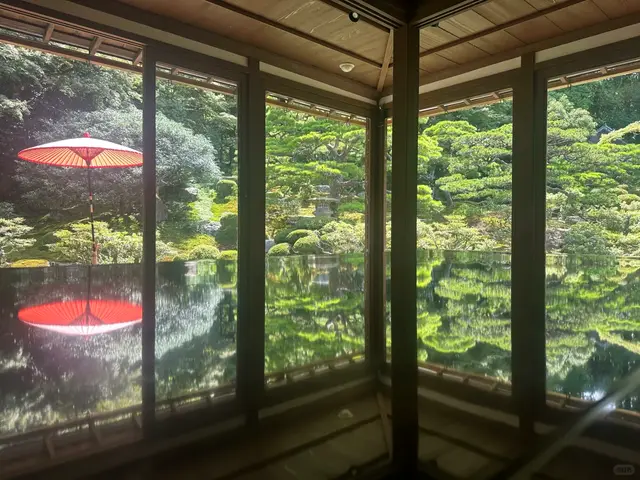 书院窗外庭园倒映在地板上,红伞点缀,最有代表性的“床绿”画面