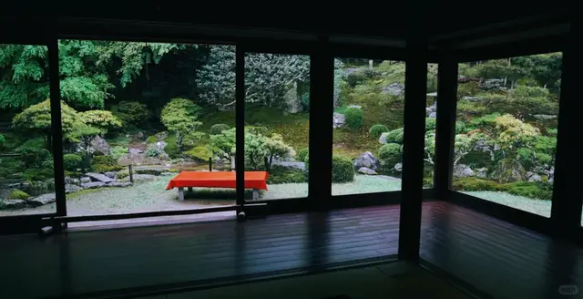 昏暗室内望向庭园,红毯长椅
