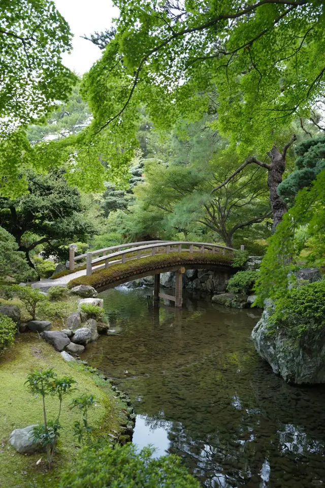 御池庭的石桥与绿树池水