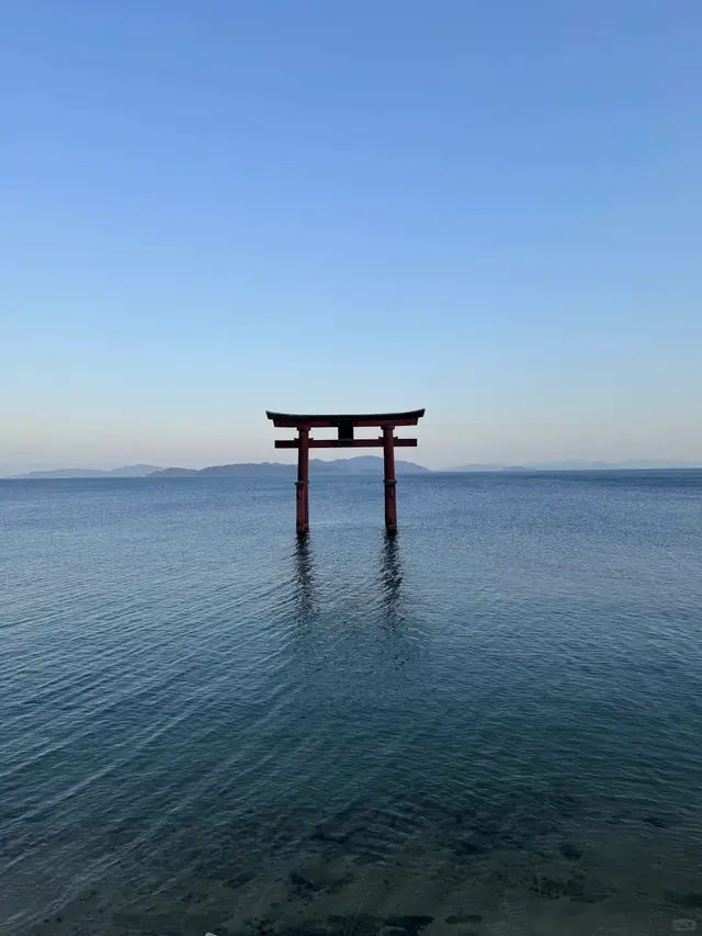 湖水中的朱红大鸟居,水面平静,最标志性的一张