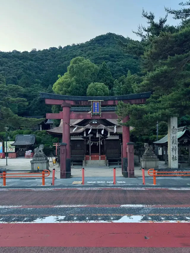 马路对面的神社正门鸟居与拜殿,背靠青山