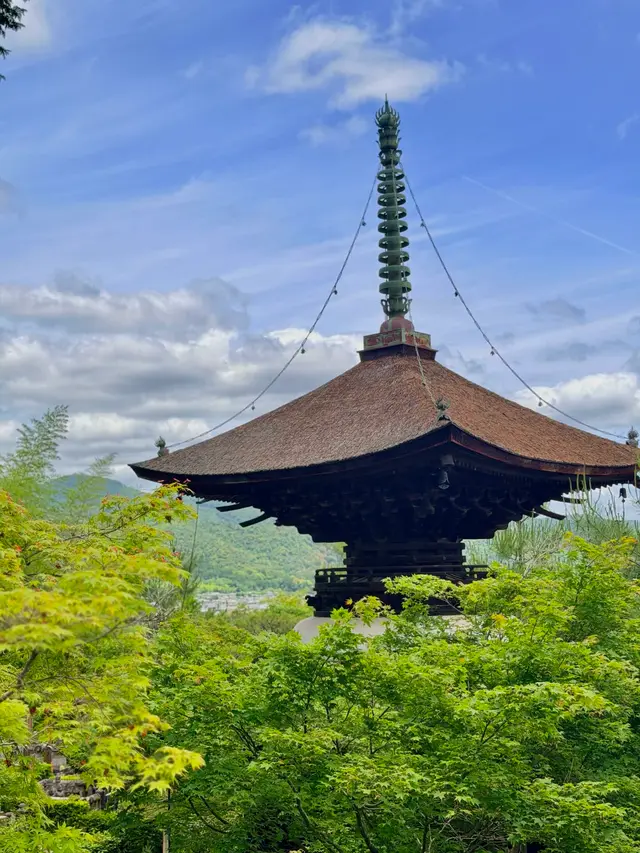 常寂光寺多宝塔探出新绿枫林